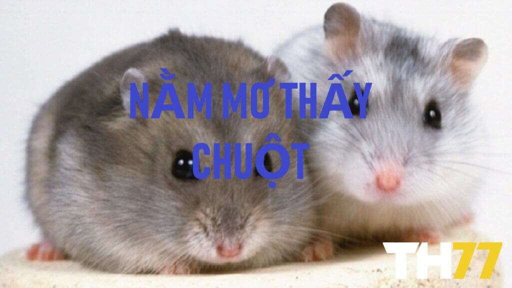 Nam mo thay chuot thi danh so may Giai ma giac mo ve chuot08