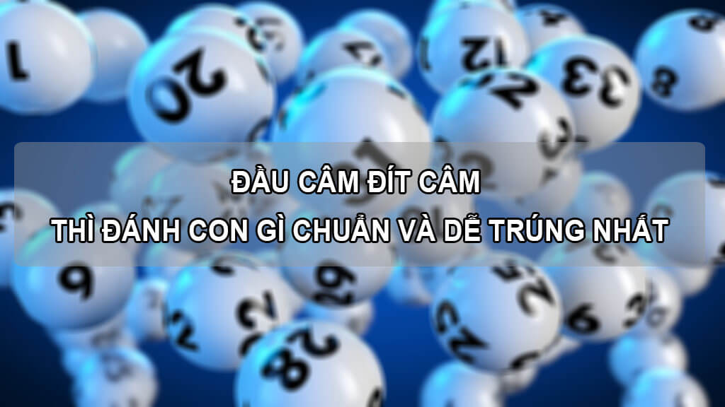 dau-cam-dit-cam-thi-danh-con-gi-chuan-va-de-trung-nhat