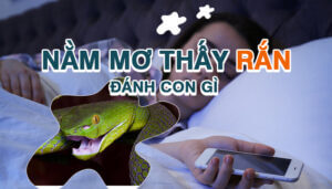 nam-mo-thay-ran