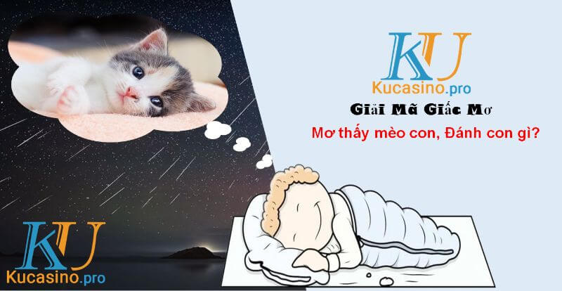 Mơ thấy mèo con đánh con gì trúng lớn?