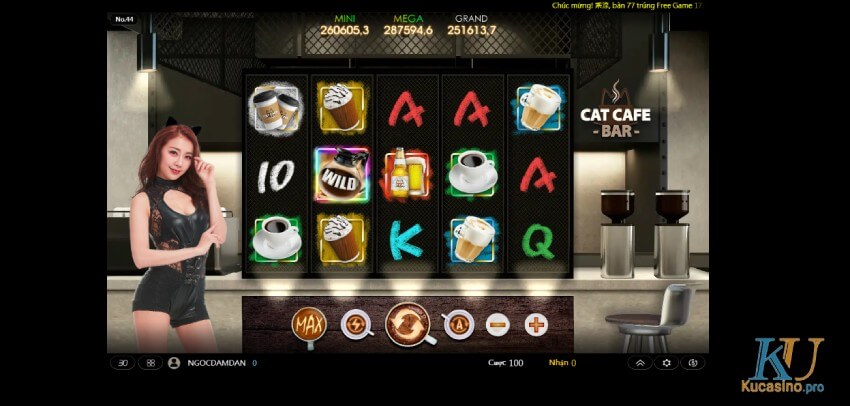 Chiến thuật đánh bài catte Ku casino siêu chuẩn