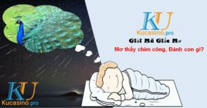 Mơ thấy chim công đánh con gì trúng lớn?