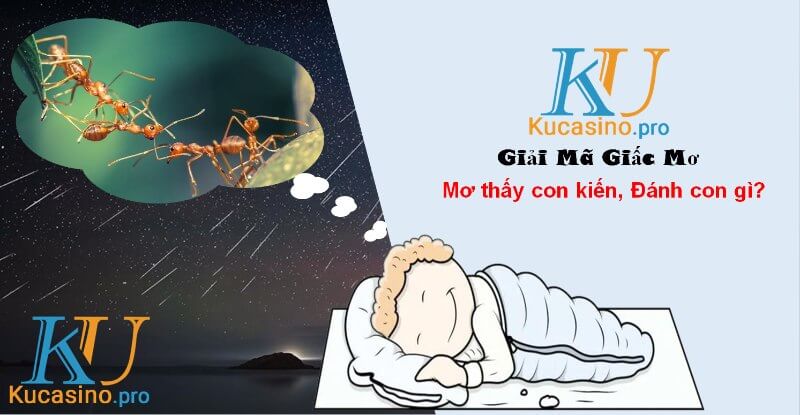 Nằm mơ thấy con kiến đánh con gì trúng lớn?