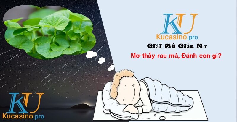 Nằm mơ thấy rau má đánh con gì trúng lớn?