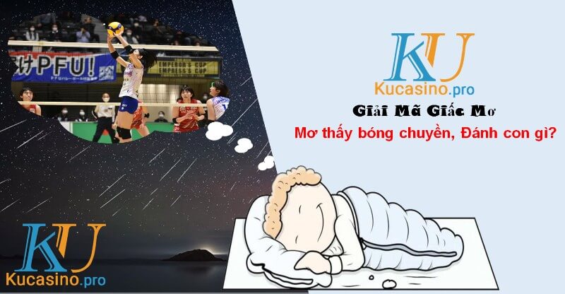 Mơ thấy bóng chuyền đánh con gì trúng lớn?