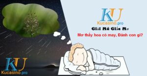 Mơ thấy hoa cỏ may đánh con gì thắng lớn?