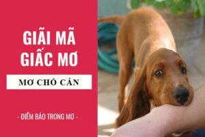 mo-thay-cho-can