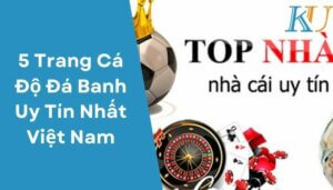 5 Trang Cá Độ Đá Banh Uy Tín Nhất Việt Nam