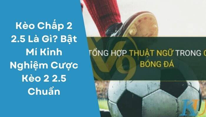 Kèo Chấp 2 2.5 Là Gì Bật Mí Kinh Nghiệm Cược Kèo 2 2.5 Chuẩn