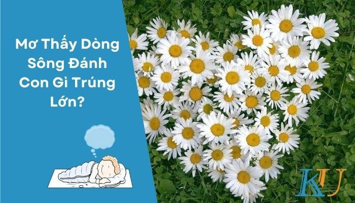 Mơ Thấy Hoa Cúc Đánh Con Gì Trúng Lớn