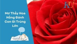 Mơ Thấy Hoa Hồng Đánh Con Gì Trúng Lớn