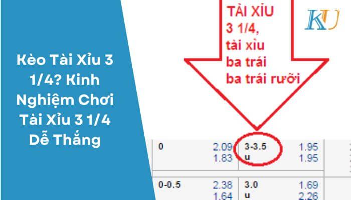 Kèo Tài Xỉu 3 14 Kinh Nghiệm Chơi Tài Xỉu 3 14 Dễ Thắng