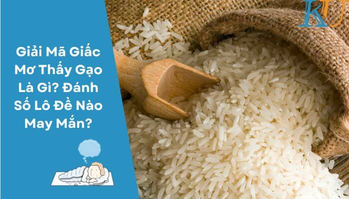 Giải Mã Giấc Mơ Thấy Gạo Là Gì? Đánh Số Lô Đề Nào May Mắn?