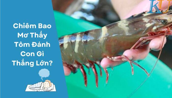 Chiêm Bao Mơ Thấy Tôm Dánh Con Gì Thắng Lớn