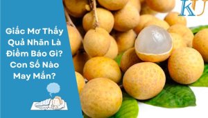 Giấc Mơ Thấy Quả Nhãn Là Điềm Báo Gì? Con Số Nào May Mắn?